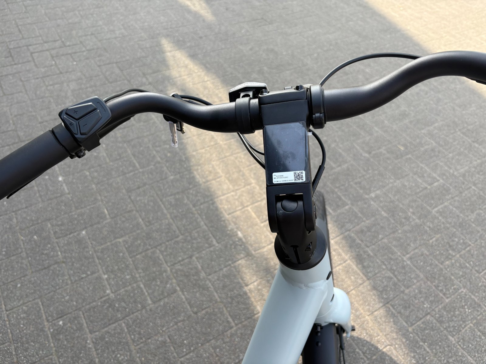 VIVO GRIJS 2