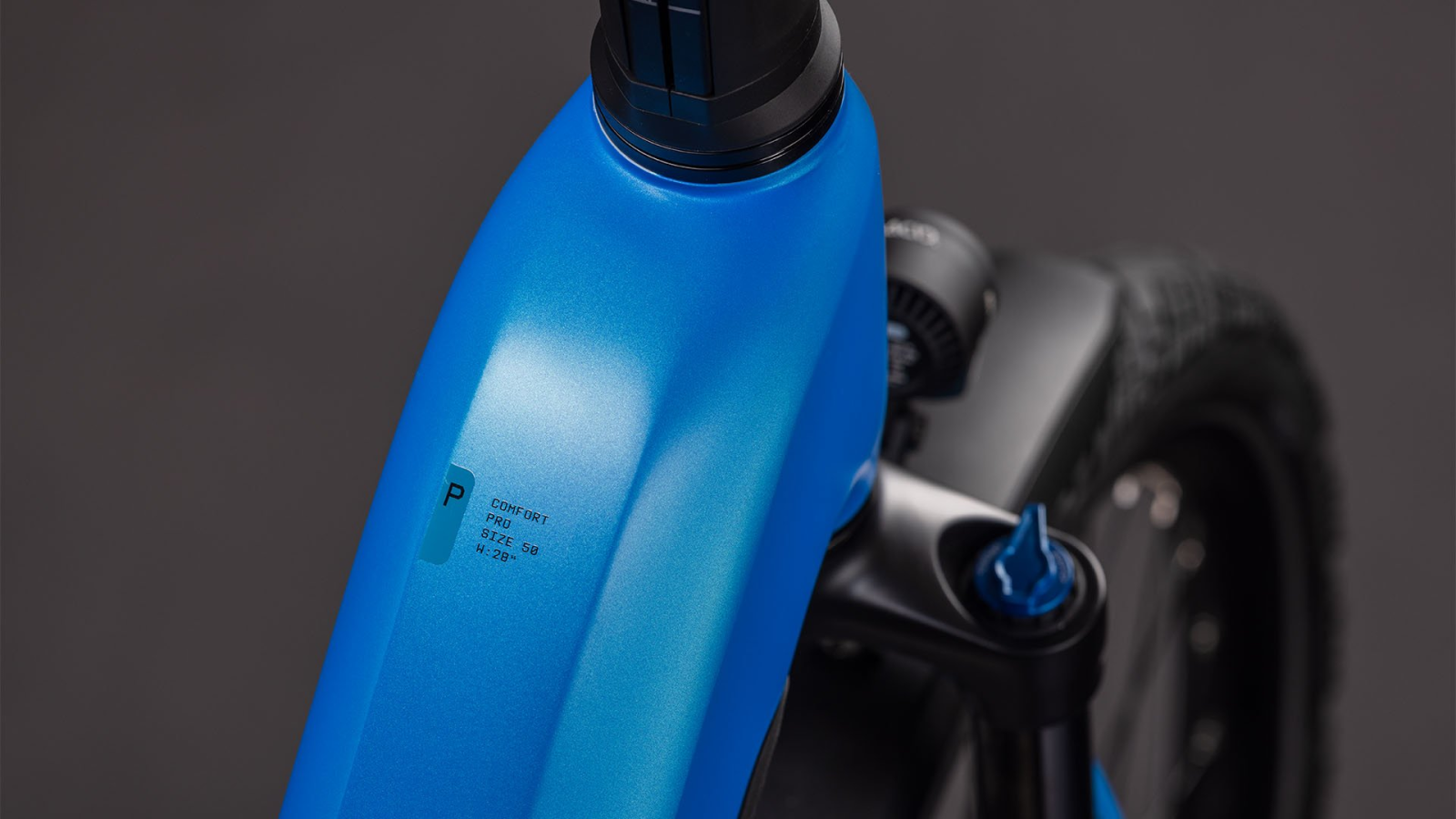 kat blauw 3