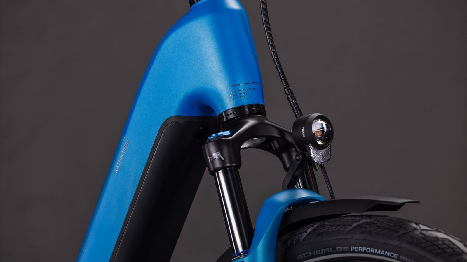 kat blauw 5