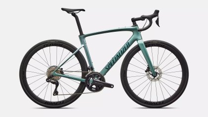 SPECIALIZED Roubaix Expert Gloss Fjord Metallic