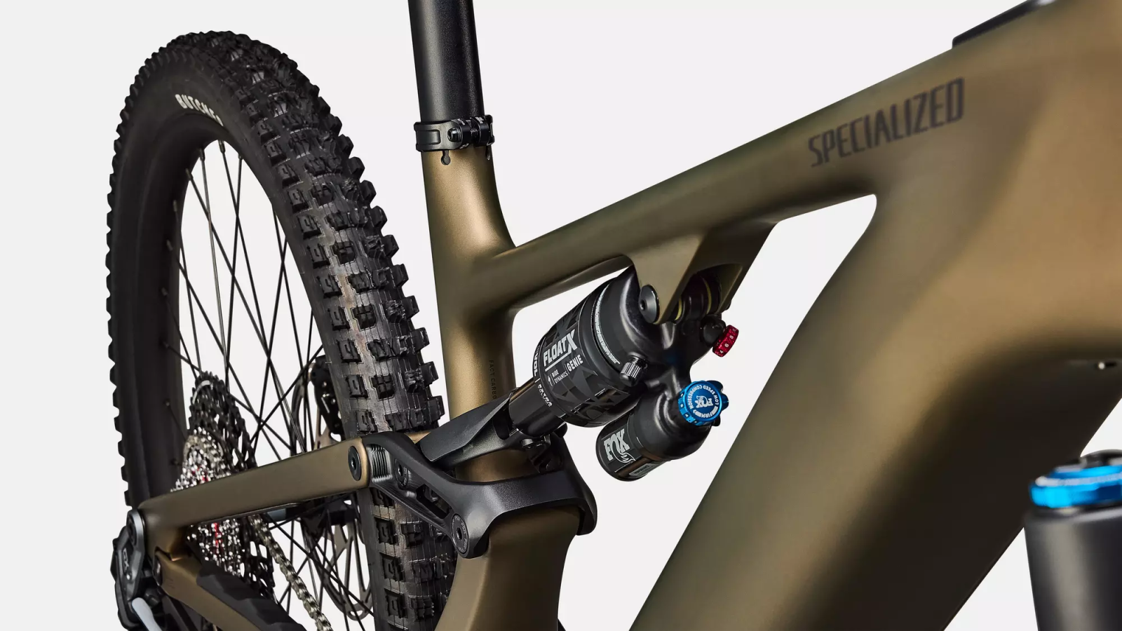 levo expert bruin 2