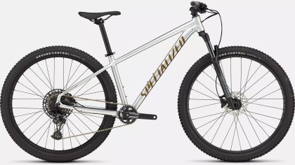 Rockhopper Expert VN Sildst/Bntgldmet L - 29