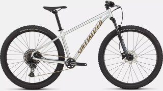 Rockhopper Expert VN Sildst/Bntgldmet L - 29